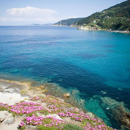 Hotel Gallo Nero Sant'Andrea  Luaran gambar
